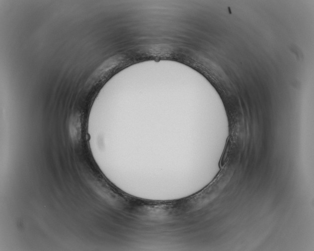 X0000113030120200909241422