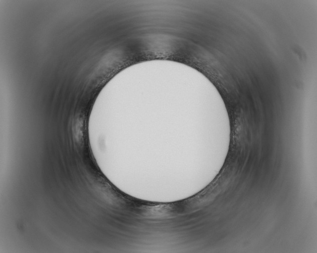 X0000113030122200909241422