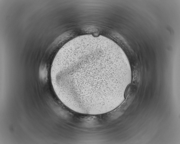 X0000113030124200909241422