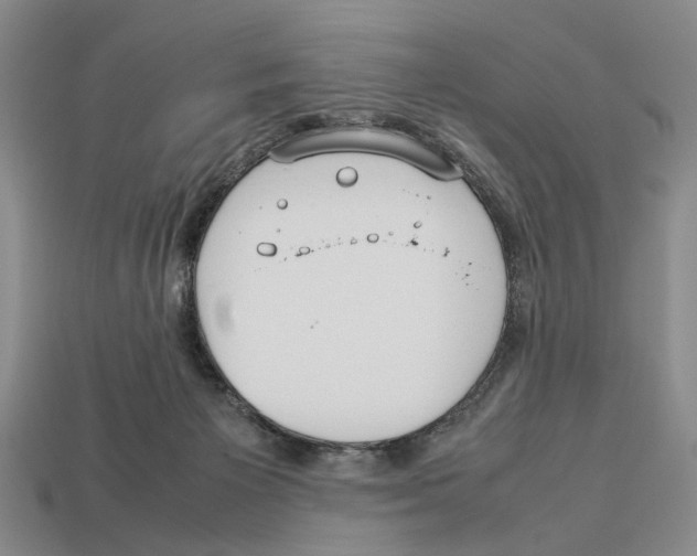 X0000113030125200909241422