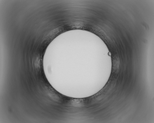 X0000113030126200909241422