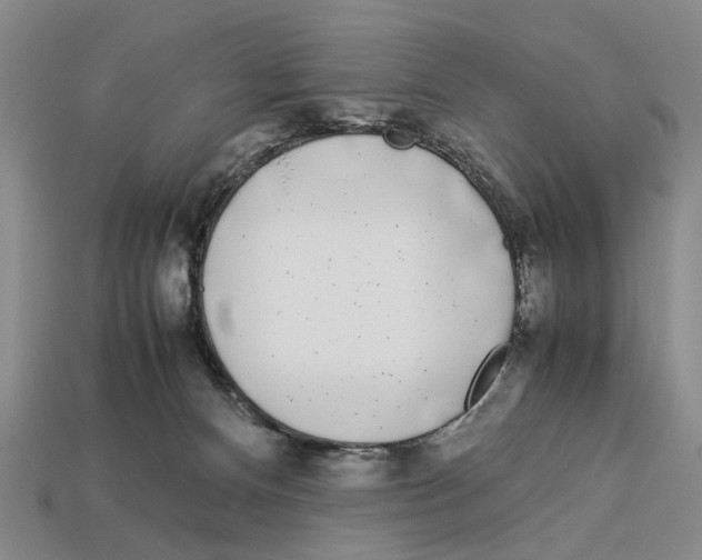 X0000113030128200909241422