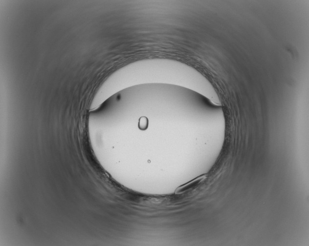 X0000113030129200909241422