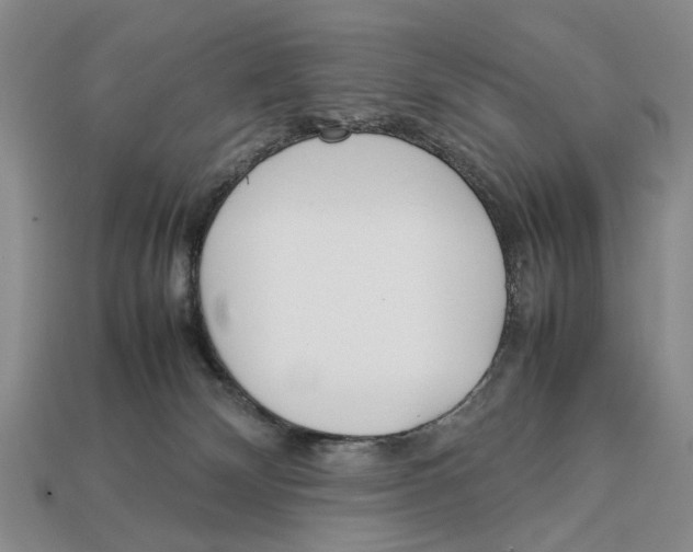 X0000113030132200909241422