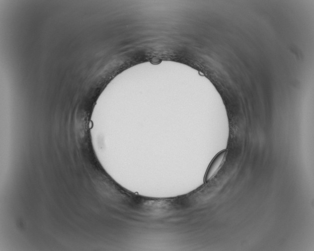 X0000113030133200909241422