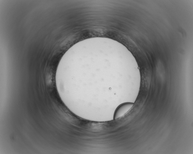 X0000113030134200909241422