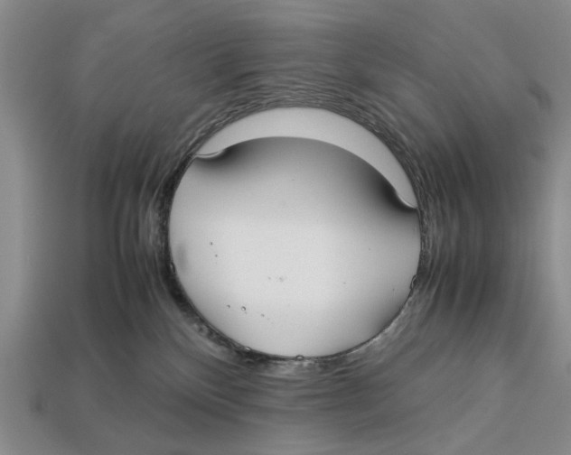 X0000113030136200909241422