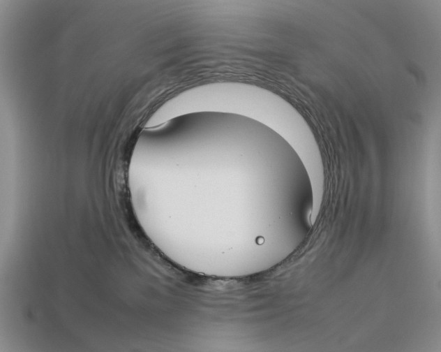 X0000113030137200909241422