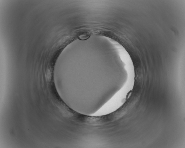 X0000113030139200909241422