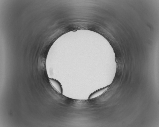 X0000113030141200909241422