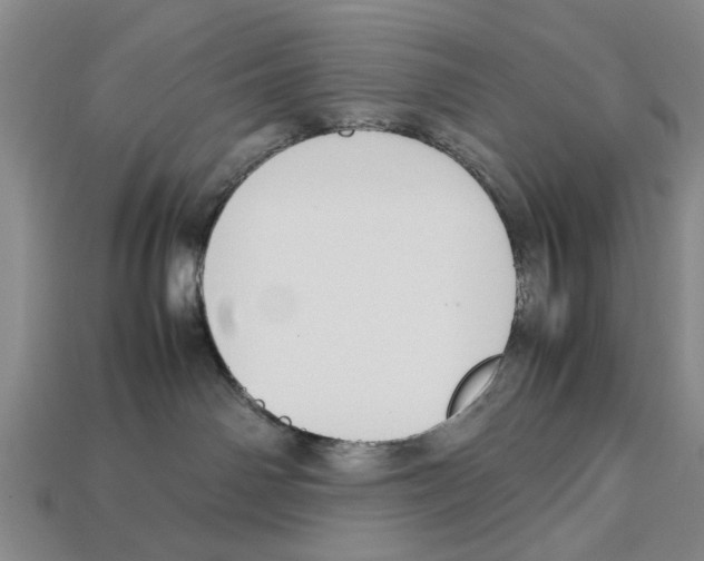 X0000113030142200909241422