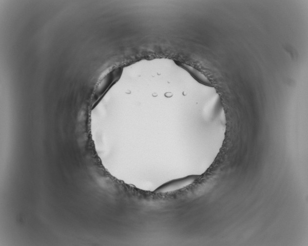 X0000113030144200909241421