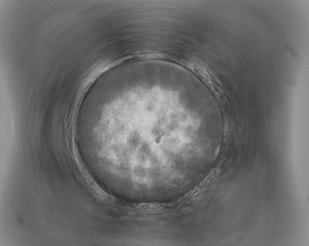 X0000113030145200909241421