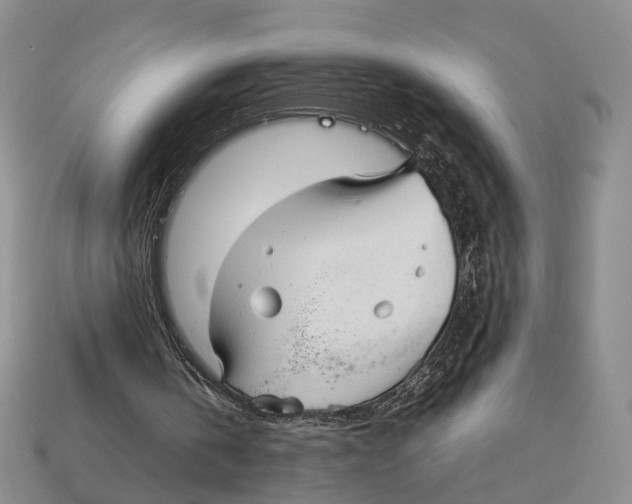 X0000113030146200909241421