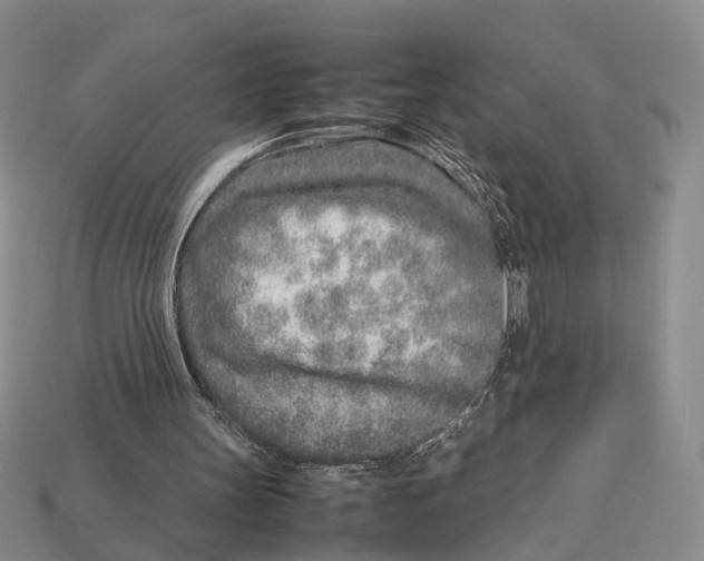 X0000113030147200909241421