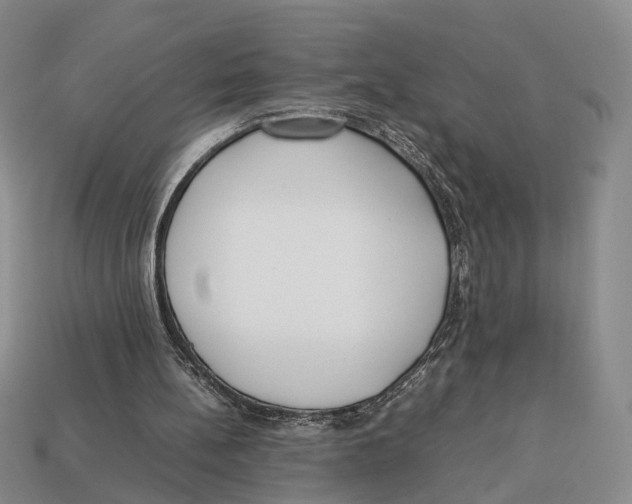 X0000113030148200909241421