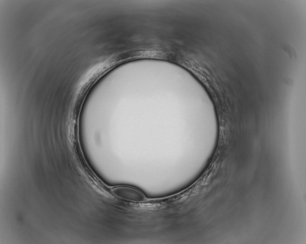 X0000113030149200909241421