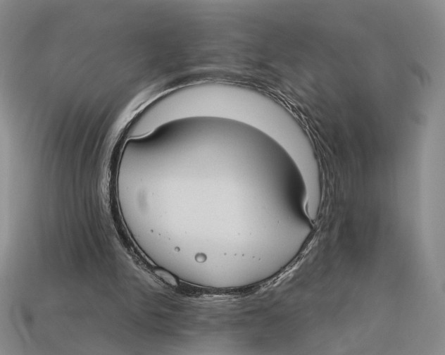 X0000113030150200909241421