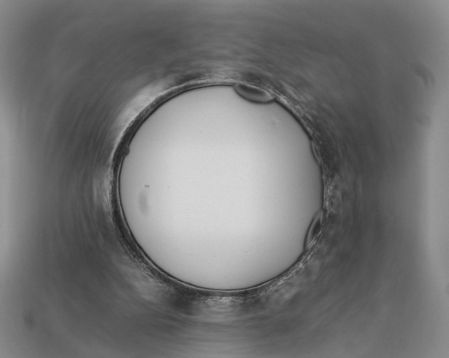 X0000113030152200909241421