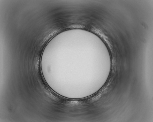 X0000113030153200909241421