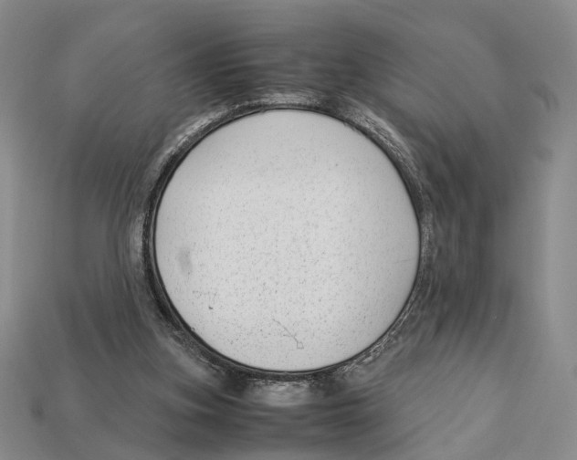 X0000113030155200909241421