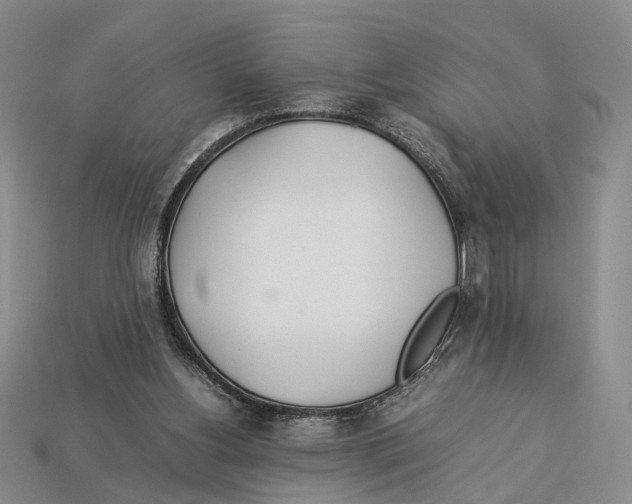 X0000113030156200909241421