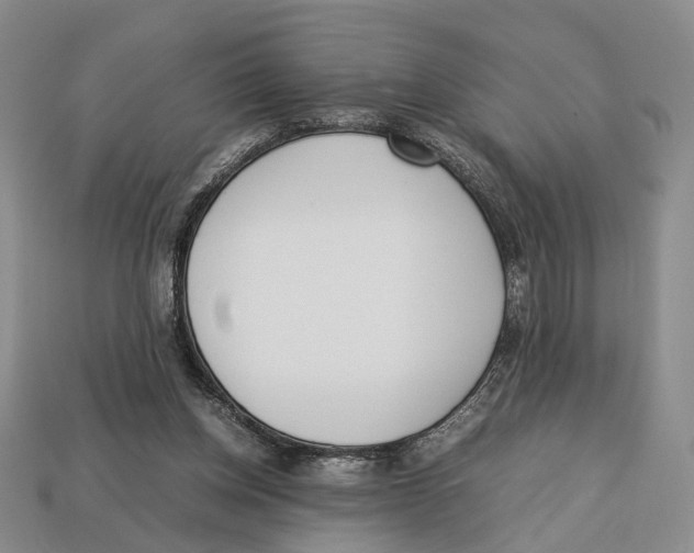 X0000113030158200909241421