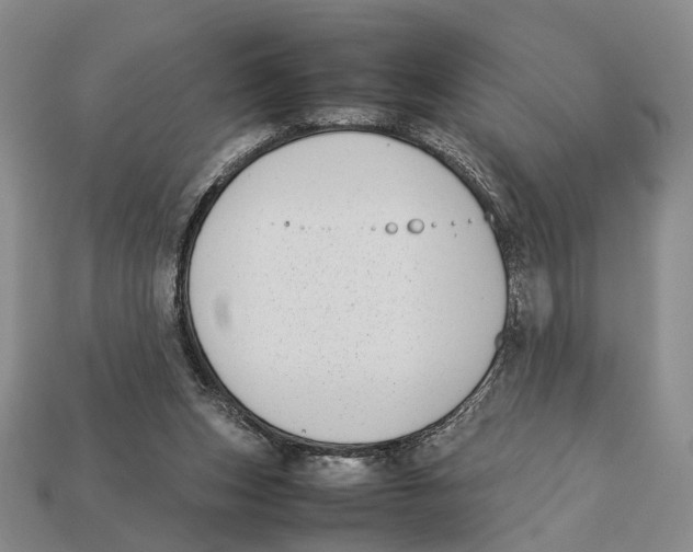 X0000113030159200909241421