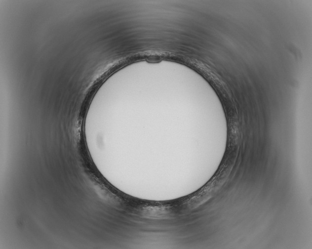 X0000113030160200909241421