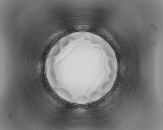 X0000113030161200909241421