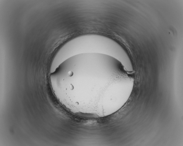 X0000113030162200909241421