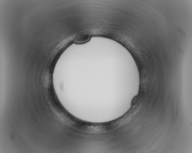 X0000113030164200909241421