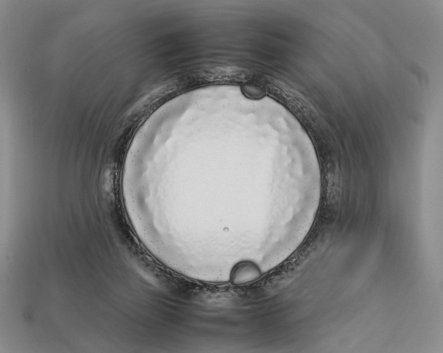 X0000113030165200909241421