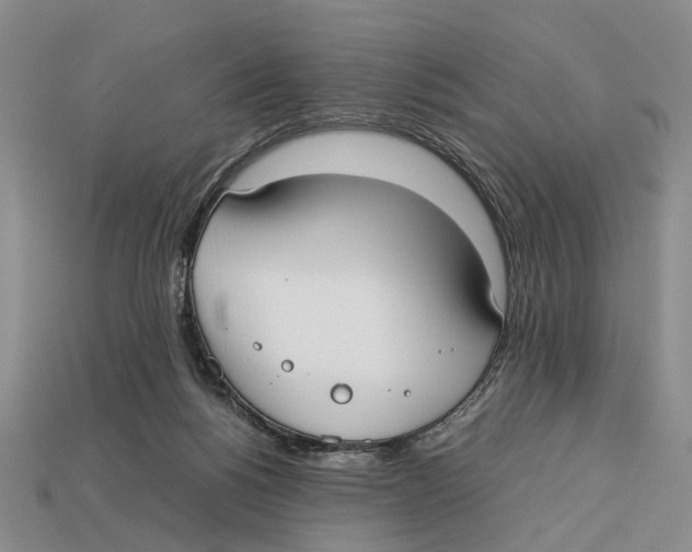 X0000113030168200909241421