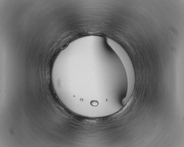 X0000113030170200909241421