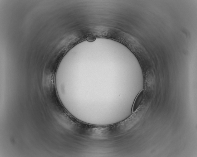 X0000113030172200909241421