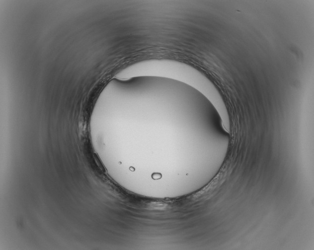 X0000113030176200909241421