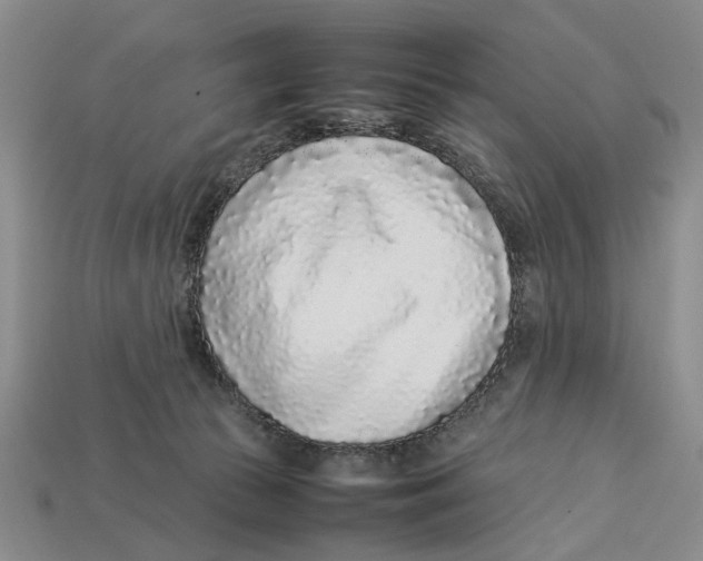 X0000113030177200909241421