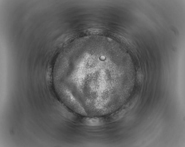 X0000113030181200909241421