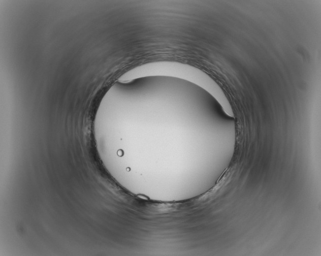 X0000113030184200909241421