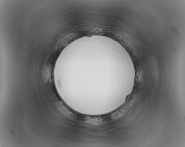 X0000113030185200909241421