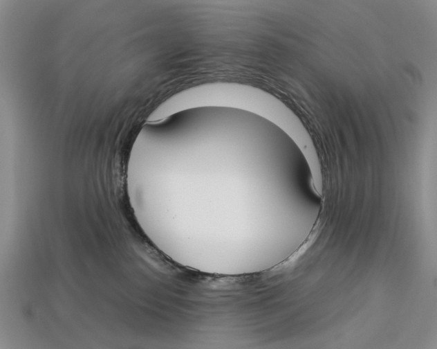 X0000113030186200909241421