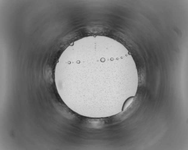 X0000113030187200909241421