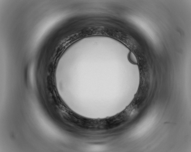 X0000113030189200909241421