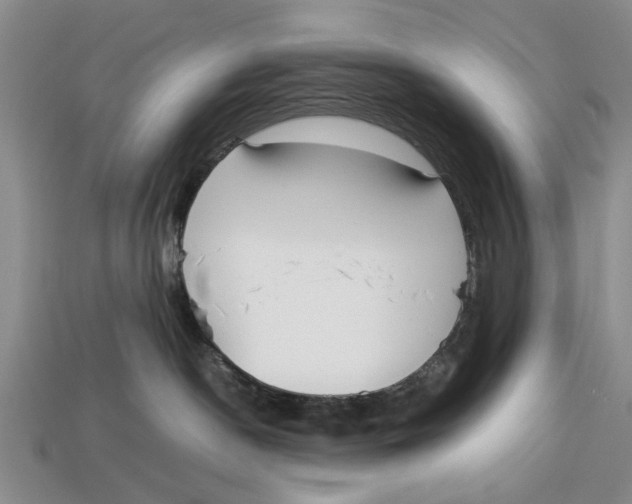 X0000113030190200909241421