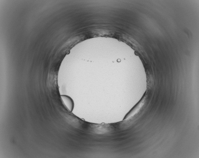 X0000113030191200909241421