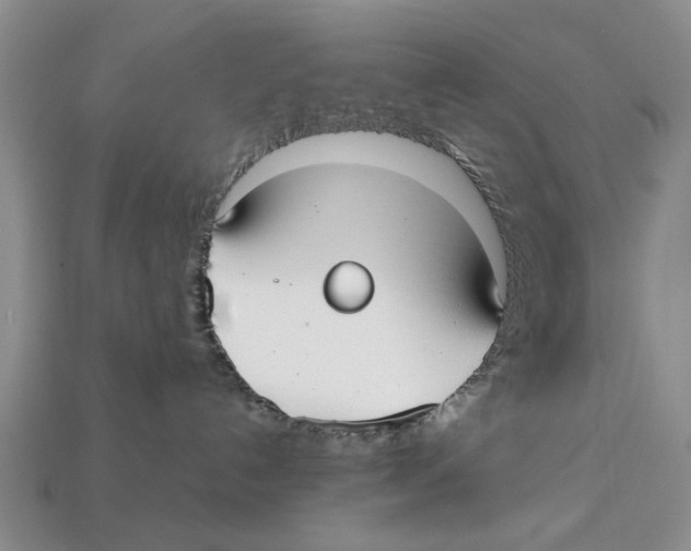 X0000113030192200909241421