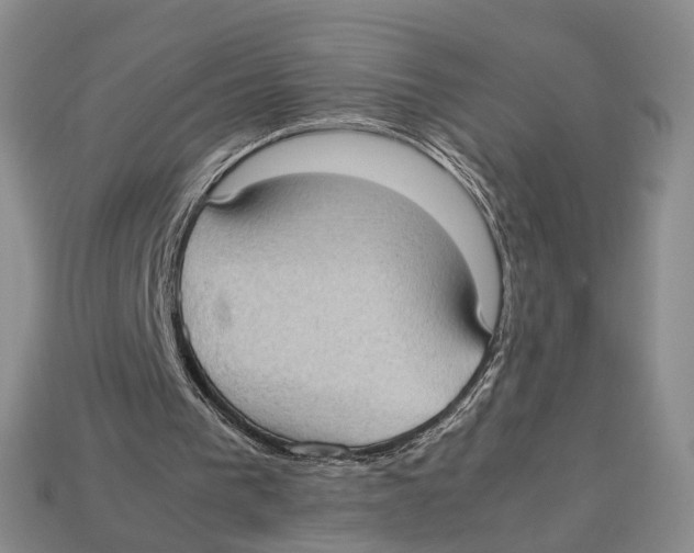 X0000113030193200909241421