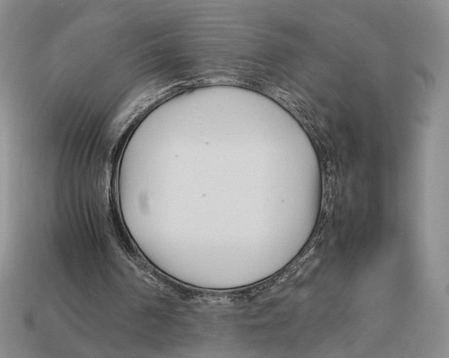 X0000113030194200909241421