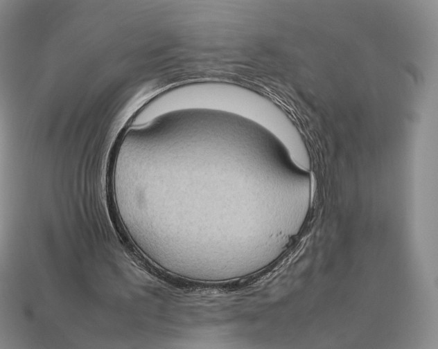 X0000113030195200909241421